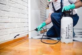 Best Fumigation Services  in Constantine, MI